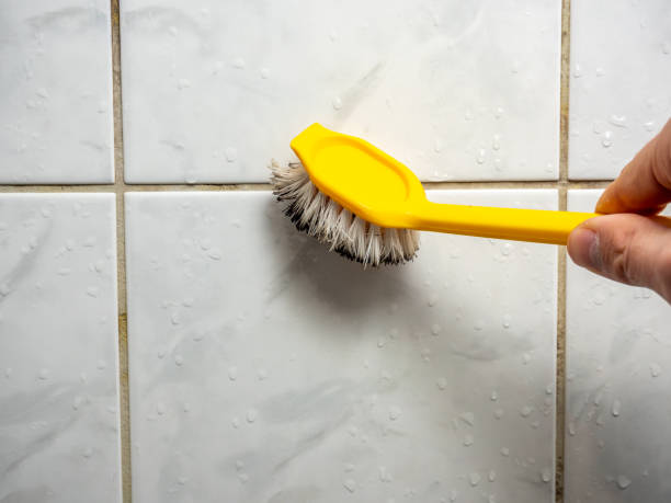 Best Mold Damage Repair  in Walthourville, GA