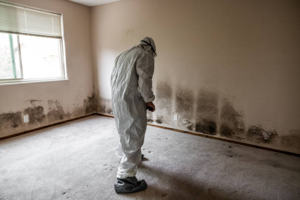 Crawl Space Mold Removal in Walthourville, GA